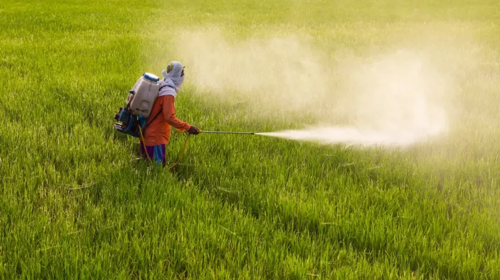 Artificial fertilisers harmful for human body, groundwater: Agriculture Scientist